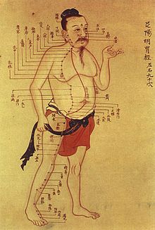 Acupuncture in Medicine
