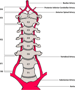 ain Points of Cervical Spondylosis and Wrist Pain