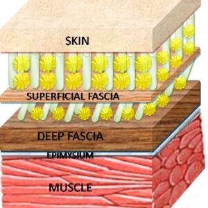 Acupuncture Cosmetology for skin
