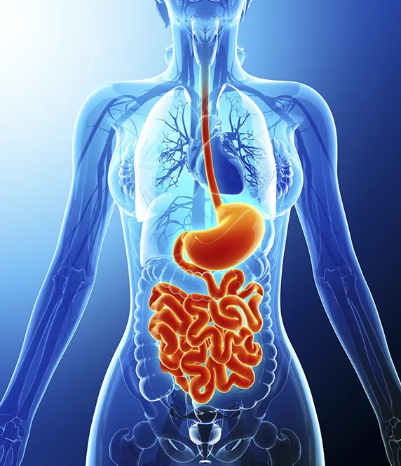 gastrointestinal diseases