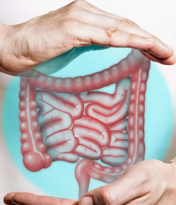 gastrointestinal diseases