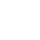 flower icoin