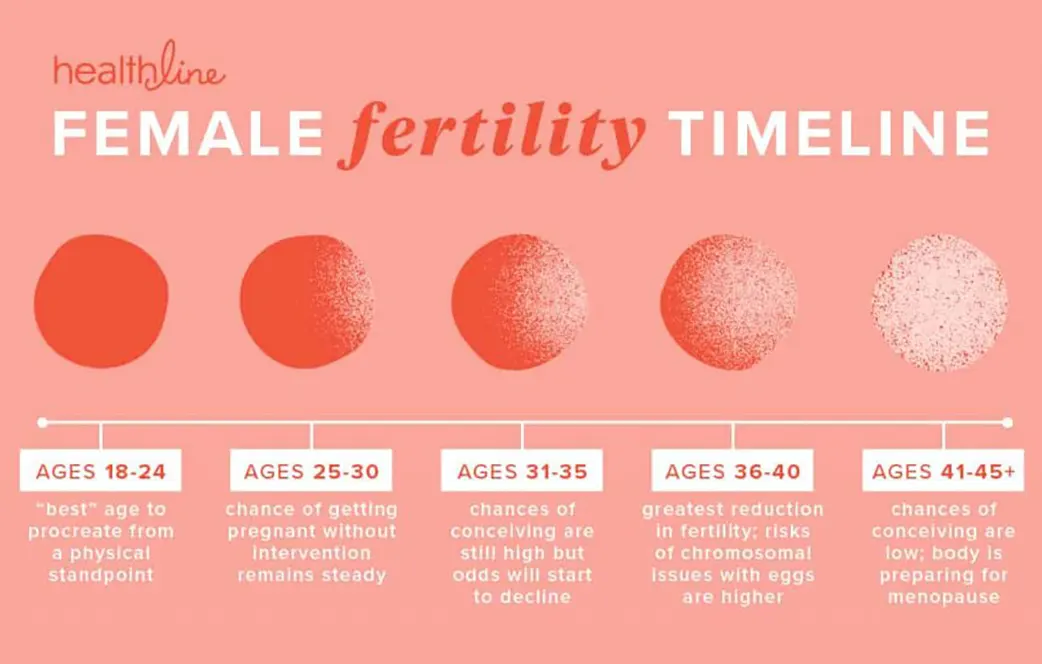 infetility-timeline-1042x664 female fertility timeline