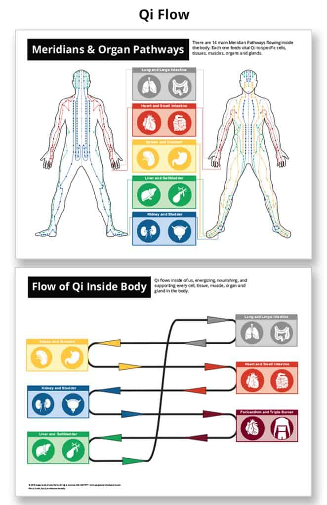 qi flow in the body