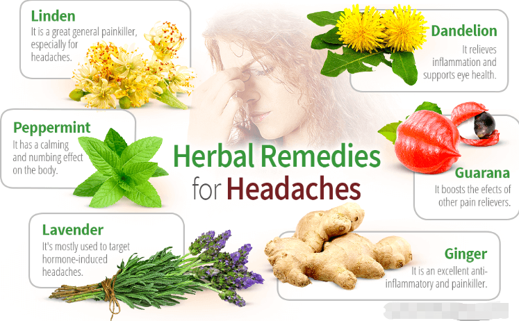 Chinese herbs for Headache Chinese herbs for Headache
