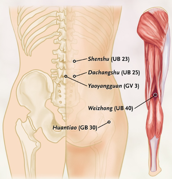 back pain acupuncture points for back pain relief