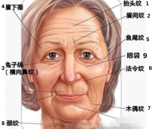 美雕 美雕